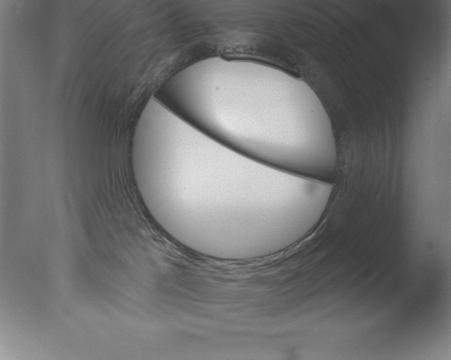 X0000076040041200610201904