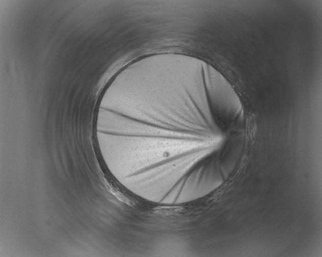X0000076040051200610201904