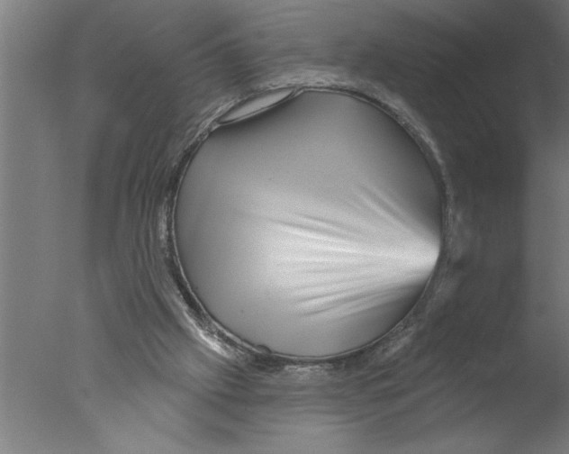X0000076040057200610201904