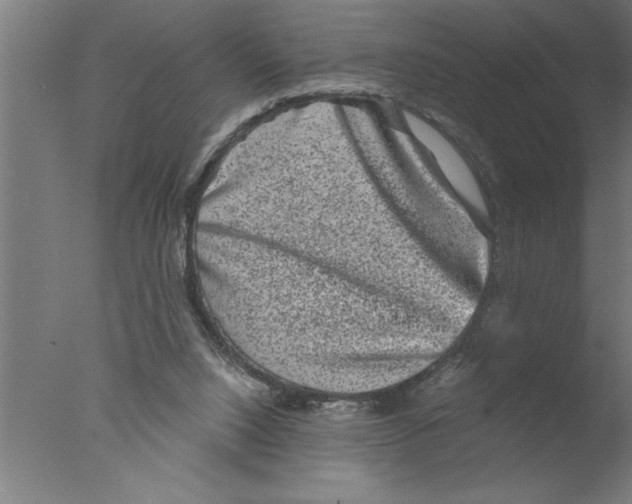 X0000076040064200610201904