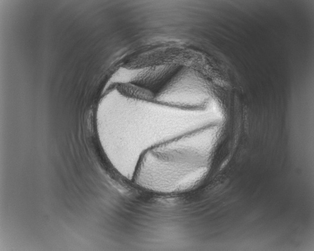 X0000076040071200610201904