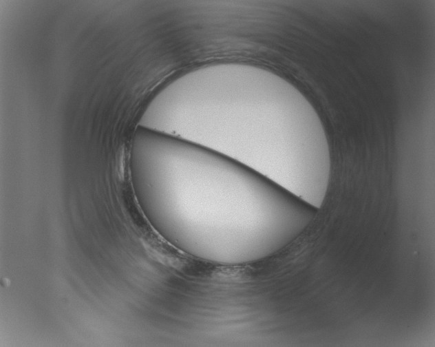 X0000076040076200610201904
