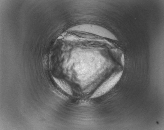 X0000076040077200610201904