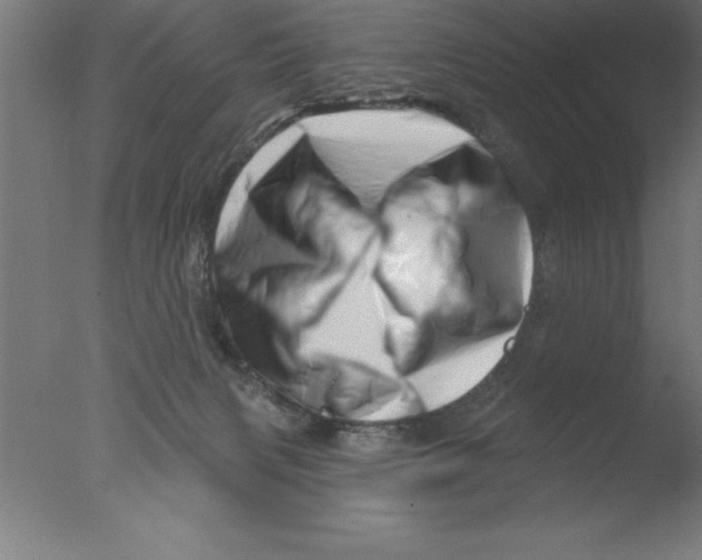 X0000076040079200610201904