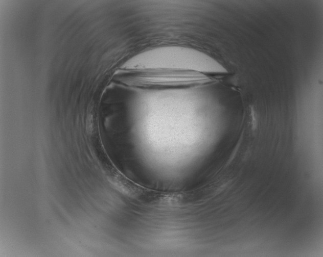 X0000076040080200610201904