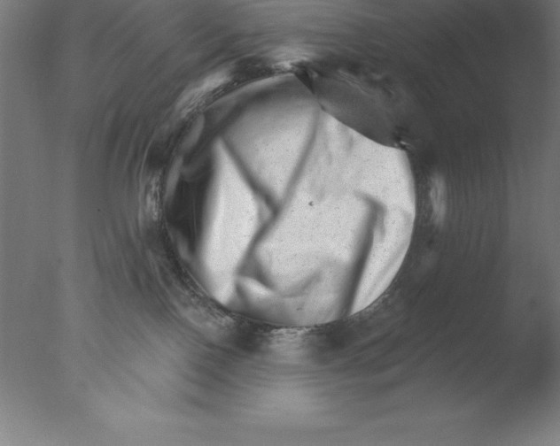 X0000076040090200610201904