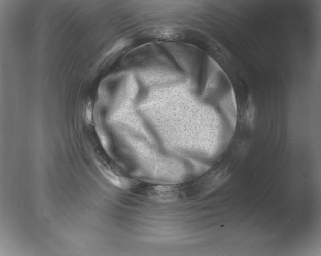 X0000076040095200610201904