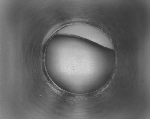 X0000076040101200610201903