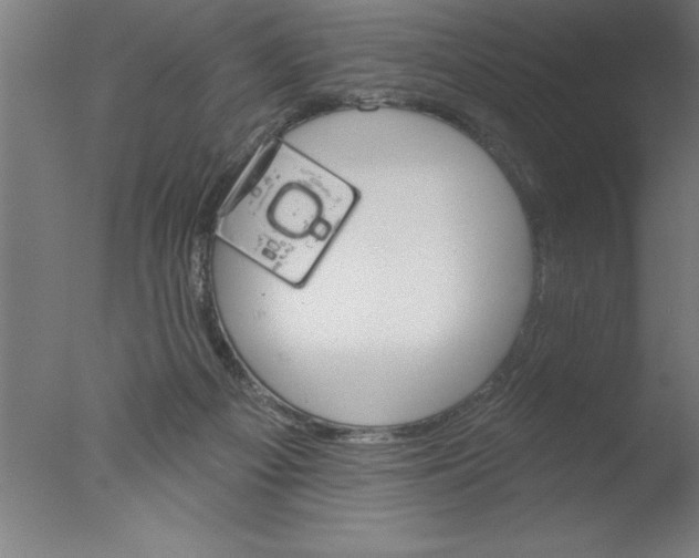 X0000076040121200610201903