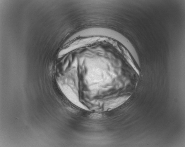 X0000076040123200610201903