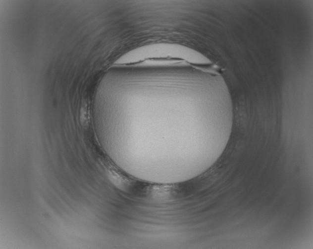 X0000076040134200610201903