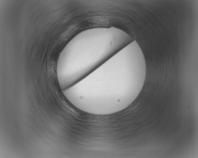 X0000076040141200610201903