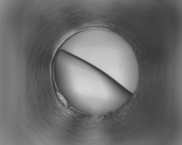 X0000076040148200610201902