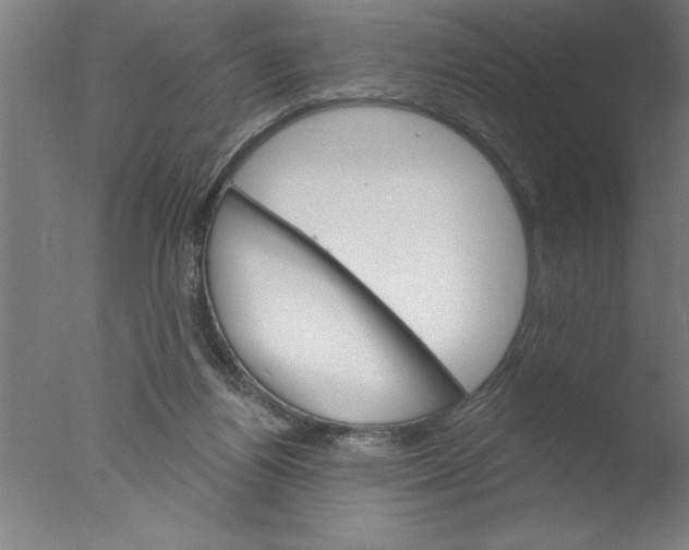 X0000076040164200610201902