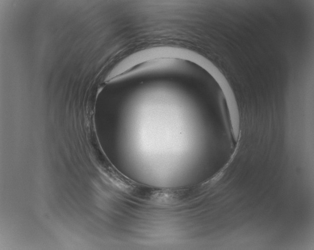 X0000076040174200610201902