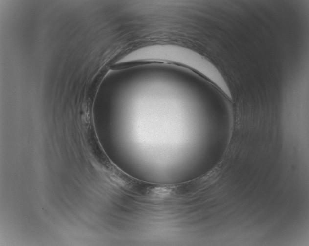 X0000076040176200610201902