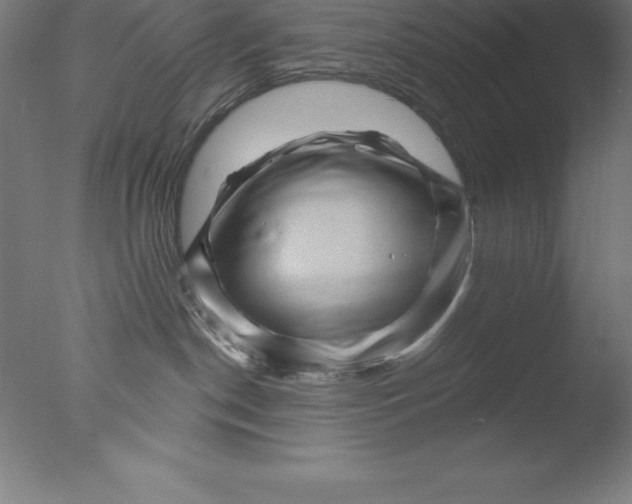 X0000076040190200610201903