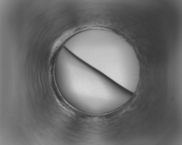 X0000076040197200610201902