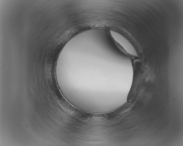 X0000076040209200610201902
