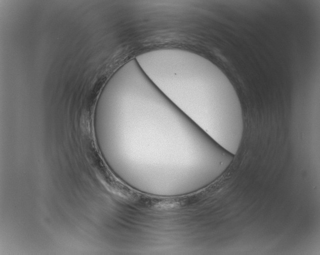 X0000076040213200610201902