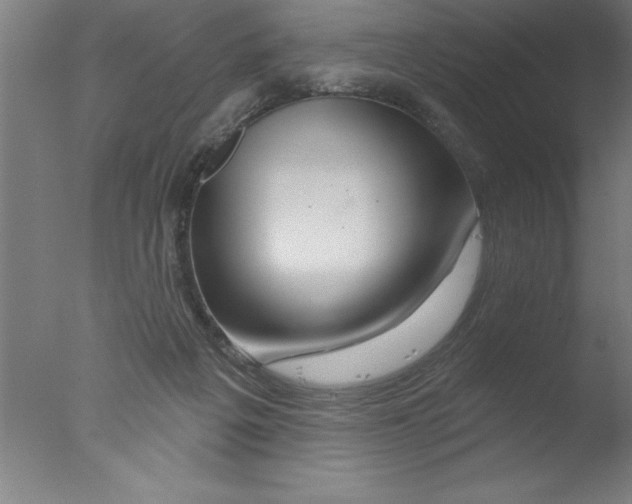 X0000076040217200610201901