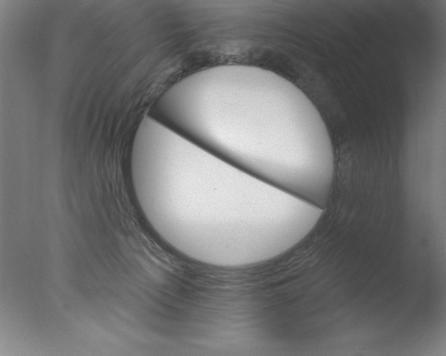 X0000076040225200610201901