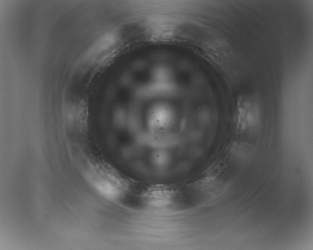 X0000076040228200610201901