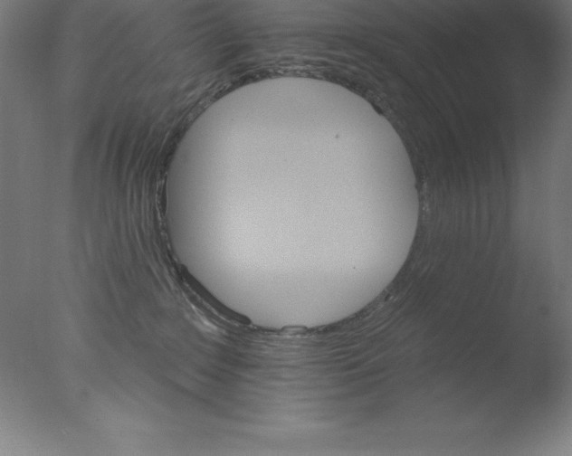 X0000076040235200610201901