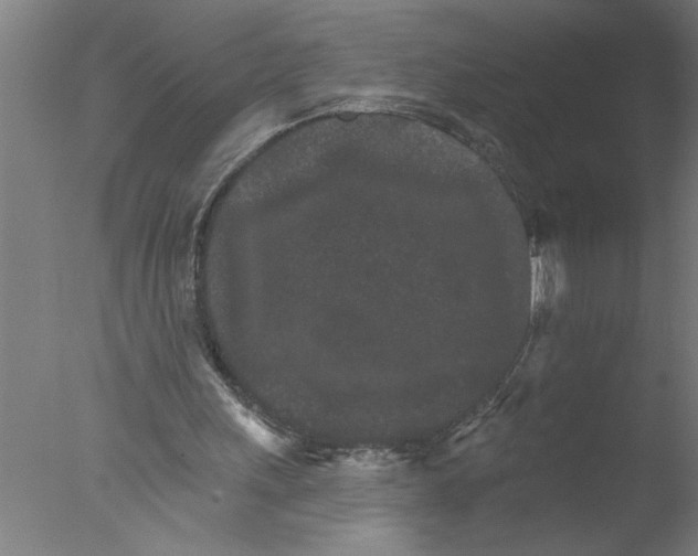 X0000076040243200610201900