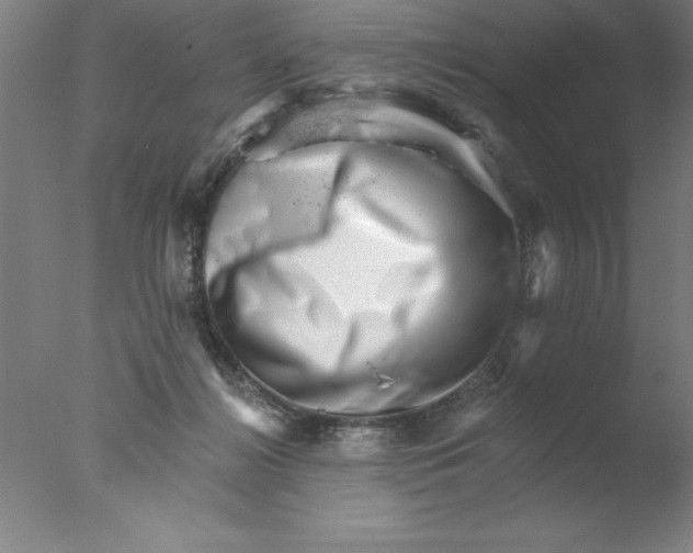 X0000076040268200610201901