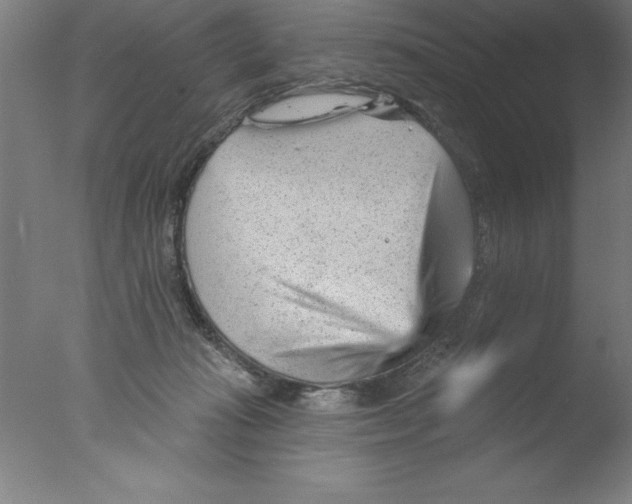 X0000076040269200610201901
