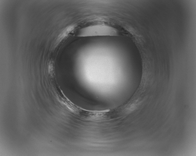 X0000076040288200610201901