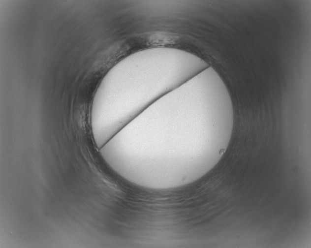 X0000076040315200610201900