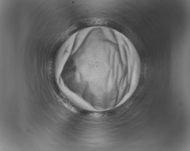 X0000076040326200610201900
