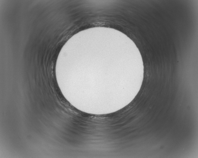 X0000076040332200610201900