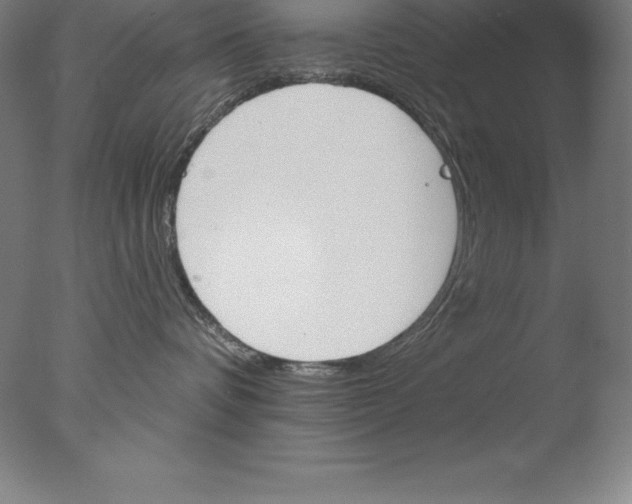 X0000076040336200610201859