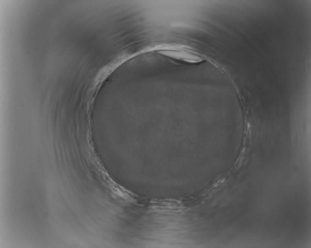 X0000076040337200610201859