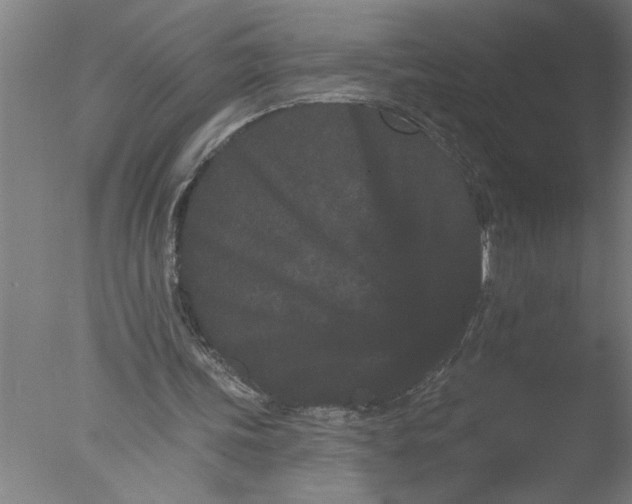 X0000076040339200610201859