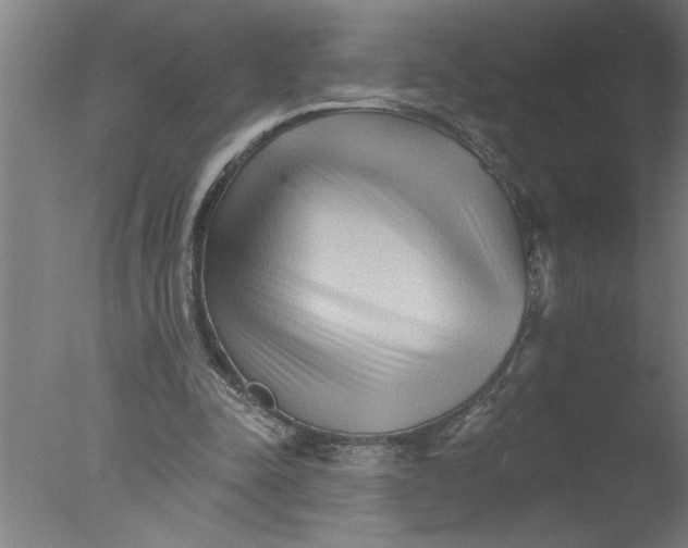 X0000076040342200610201859