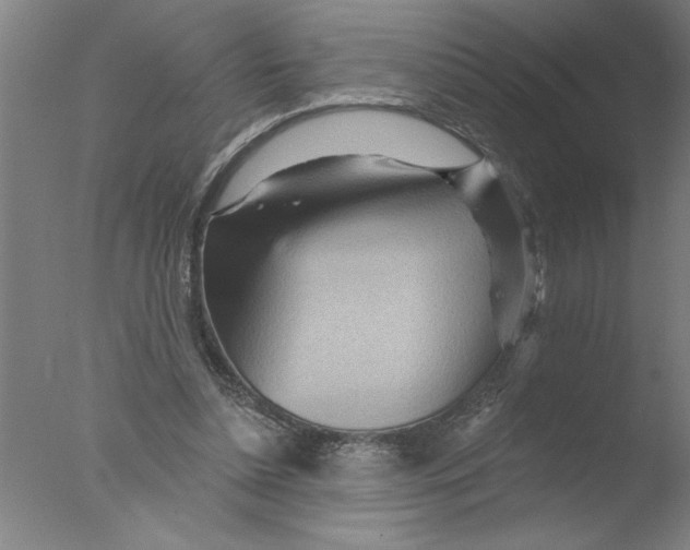 X0000076040348200610201859