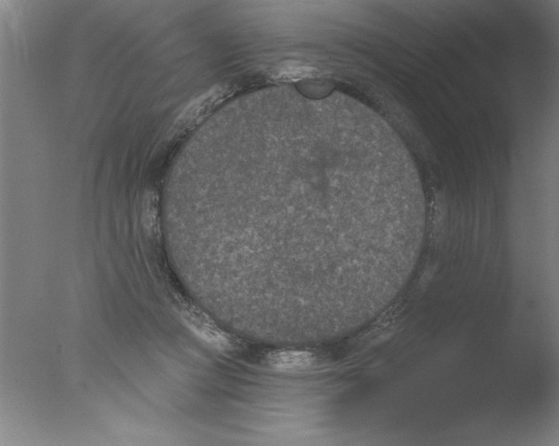 X0000076040361200610201859