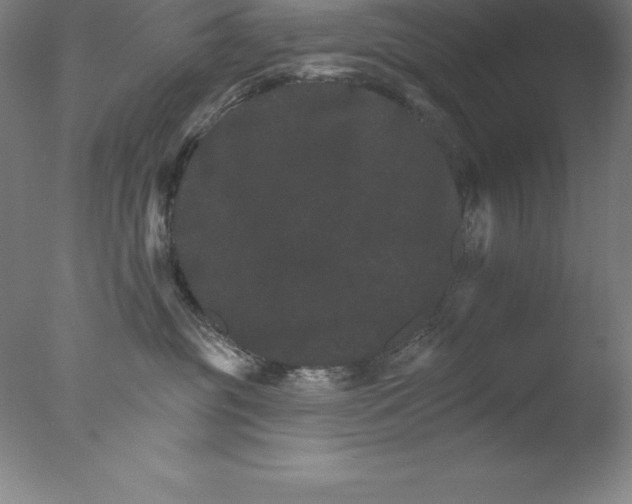 X0000076040381200610201859