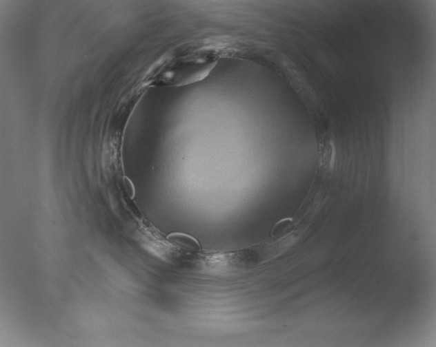 X0000076040382200610201859
