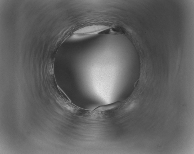 X0000076040384200610201859