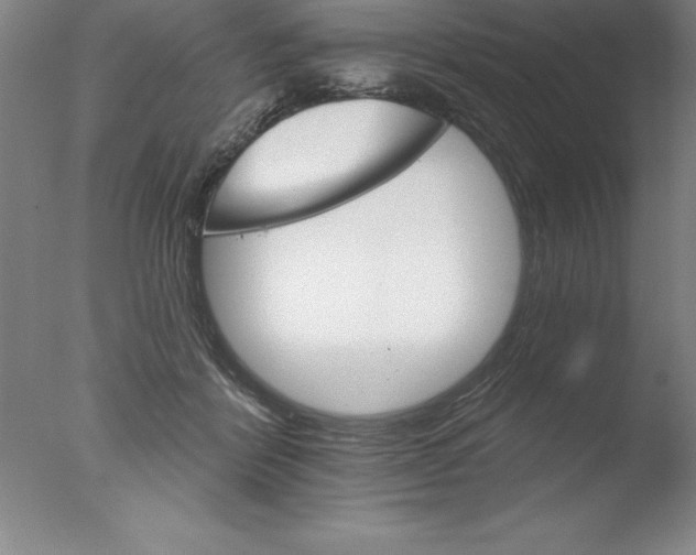 X0000076040412200610201858