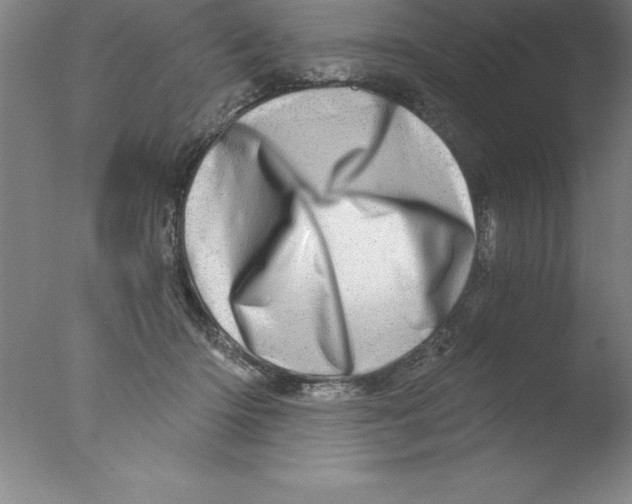 X0000076040414200610201858