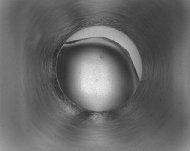 X0000076040416200610201858