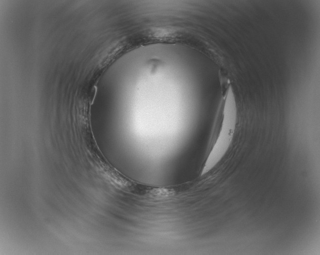 X0000076040421200610201858