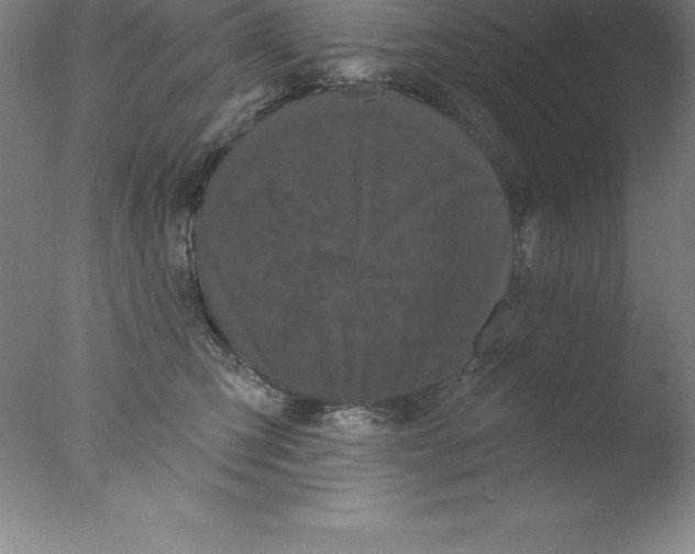 X0000076040423200610201858