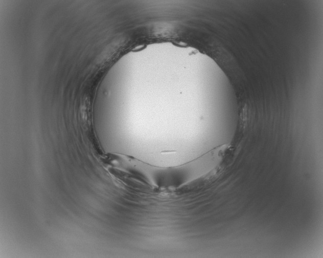 X0000076040424200610201858